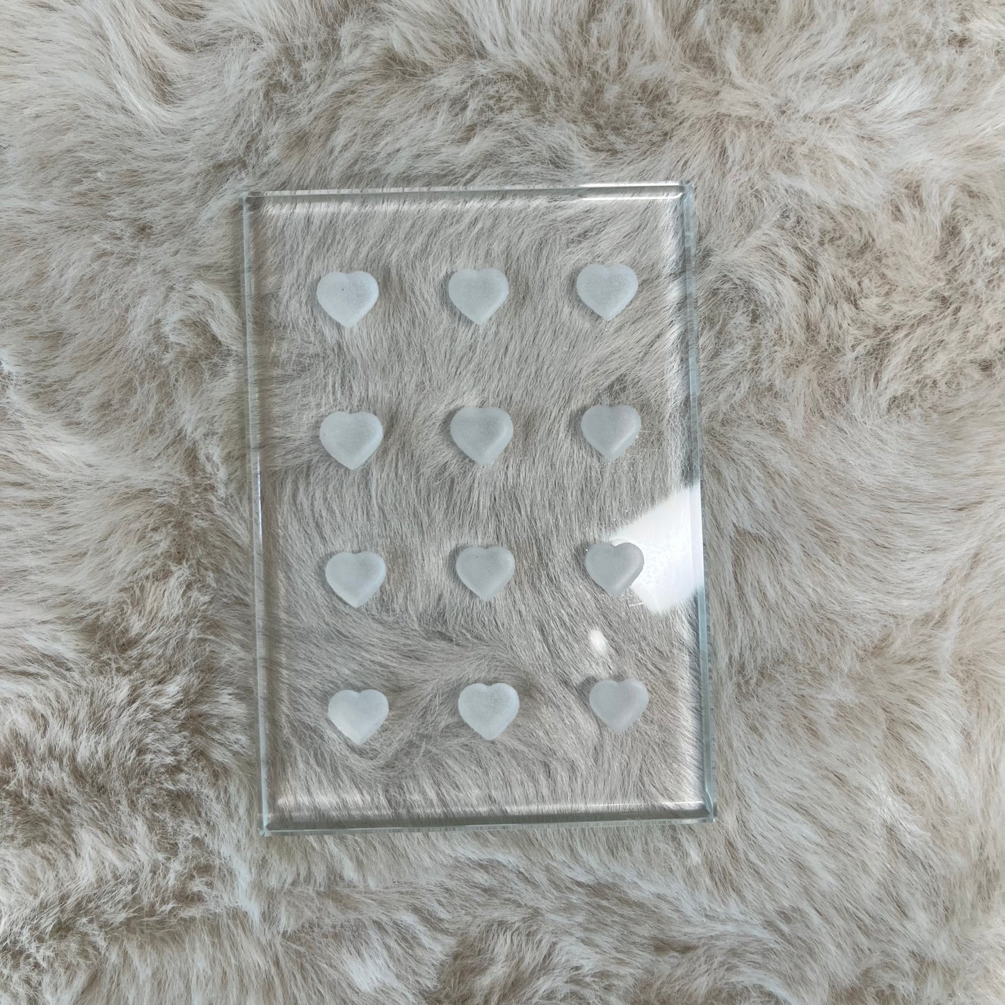 Glass Adhesive Tray